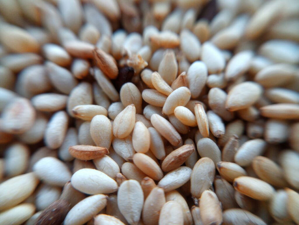 Deficiencies on Vegan Diet